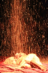 La Devoree 52 * 5184 x 3456 * (9.42MB)